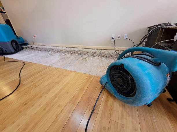 Professional Water Damage Repair technician working in Hagerstown, IN